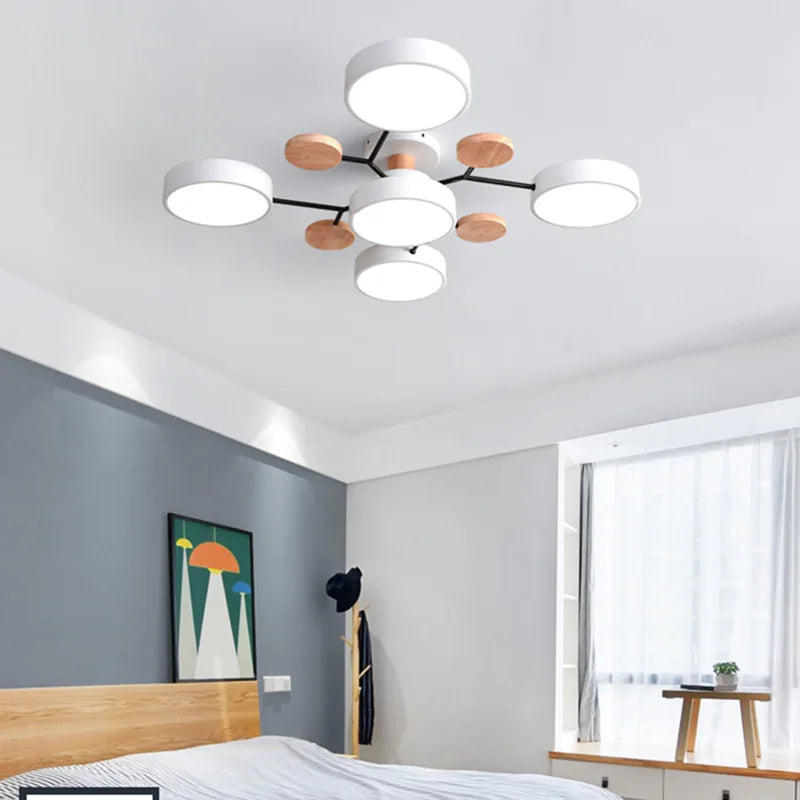 Modern LED Ceiling Light