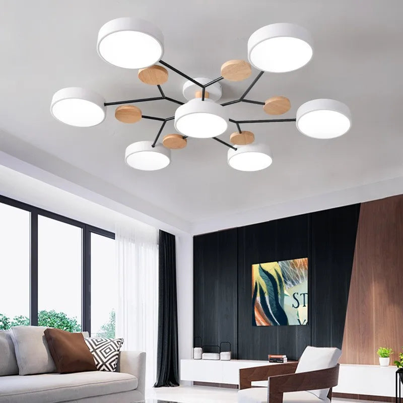 Modern LED Ceiling Light