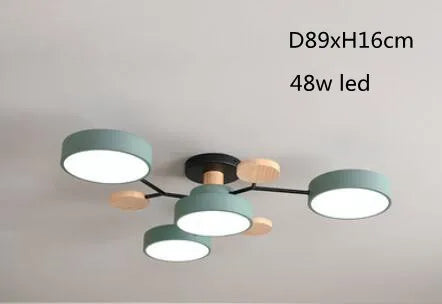 Modern LED Ceiling Light
