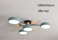 Modern LED Ceiling Light