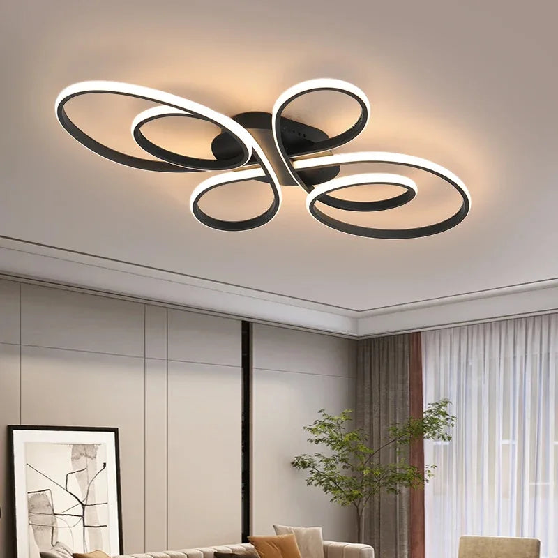 Modern LED Ceiling Light