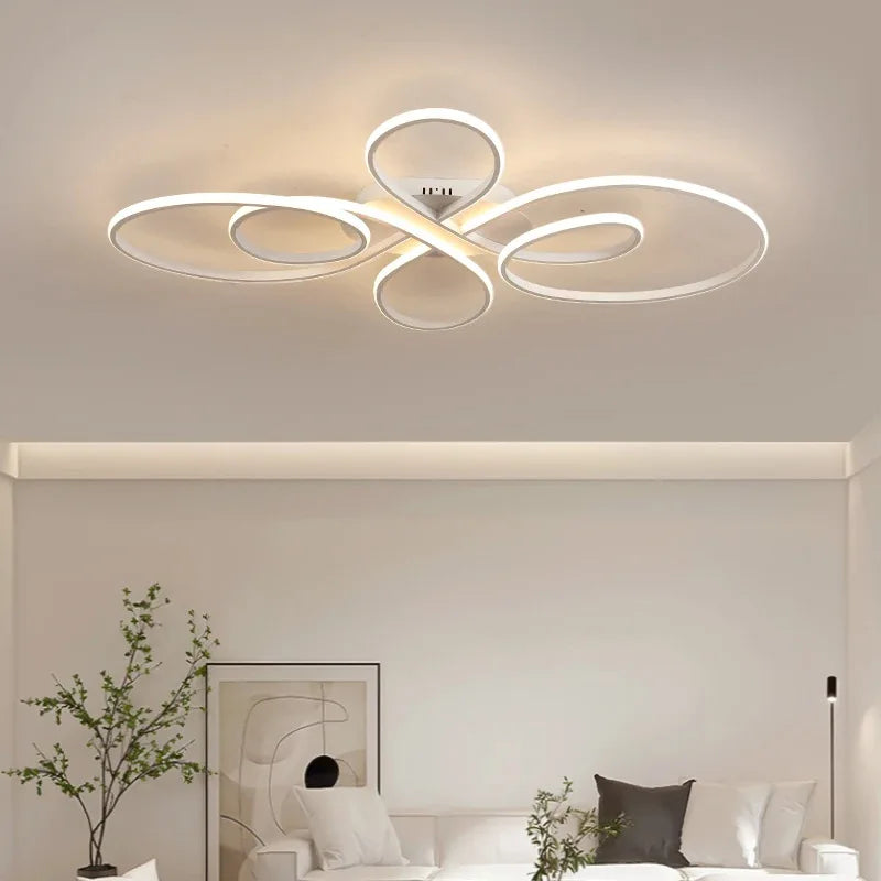 Modern LED Ceiling Light