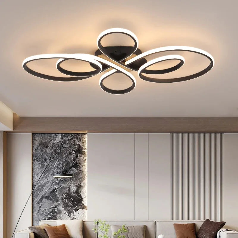 Modern LED Ceiling Light