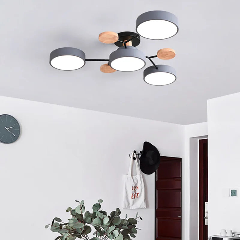 Modern LED Ceiling Light