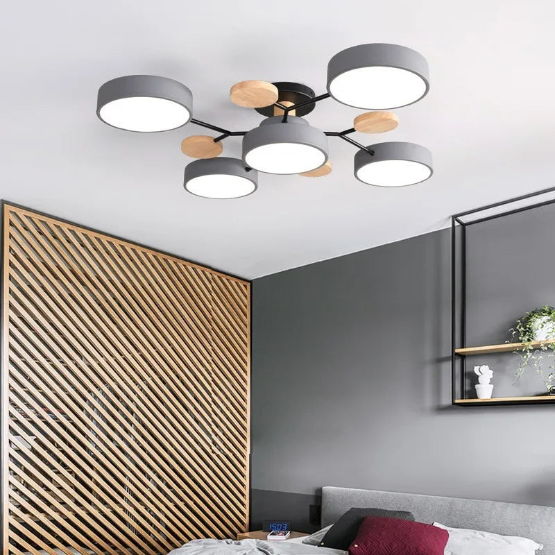 Modern LED Ceiling Light